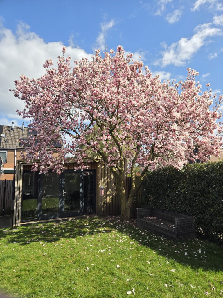 over de praktijk burn-out